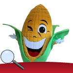 Mr.Corn